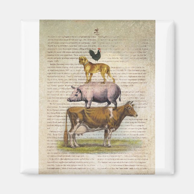 NOB10 Farm Stand A1.tif Magnet (Front)