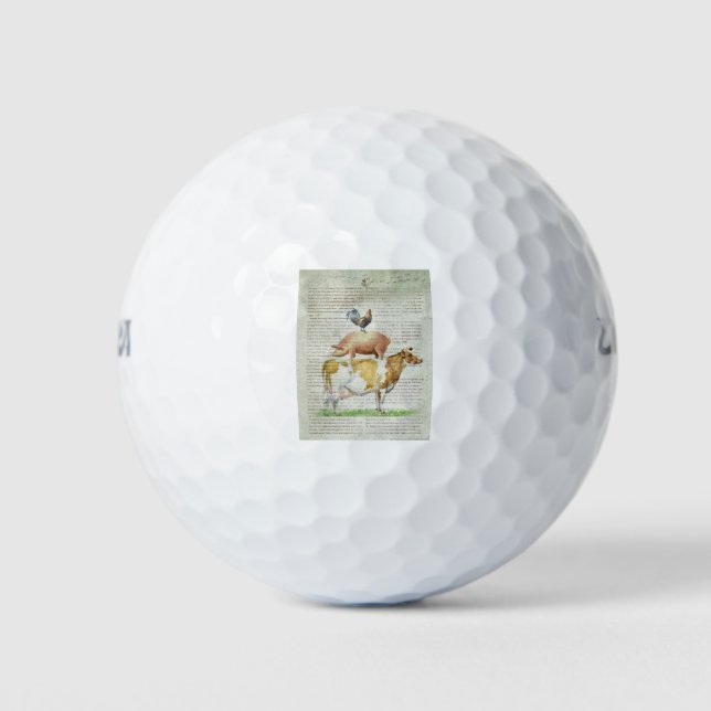 NOB11 Farm Stand B1.tif Golf Balls (Front)