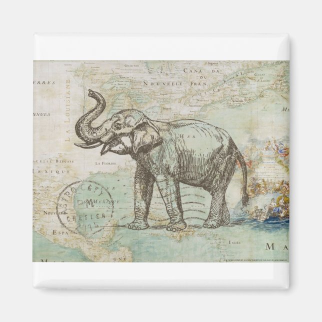 NOB174 Trunk 2.tif Magnet (Front)