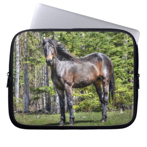 Noble Black Champion Stallion Horse Equine Photo Laptop Sleeve