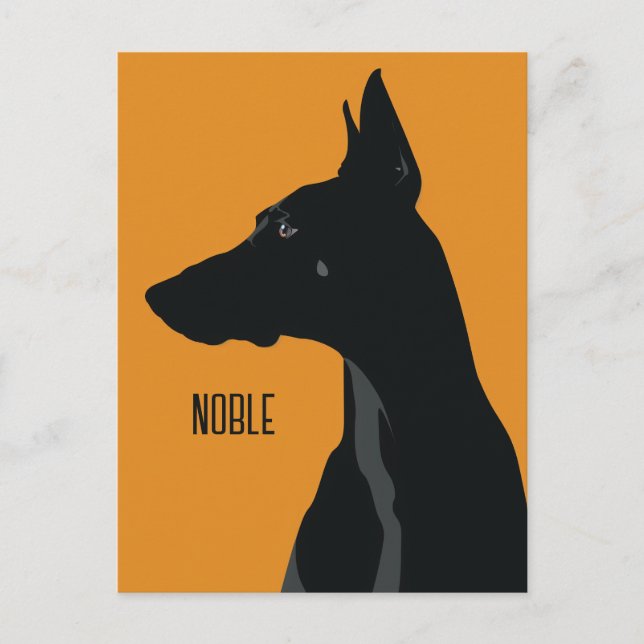 Noble Black Doberman Postcard (Front)