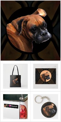 Noble Boxer Dog