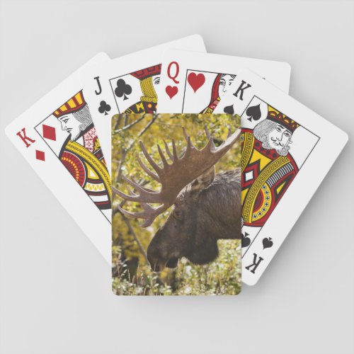 Noble Bull Moose Poker Cards