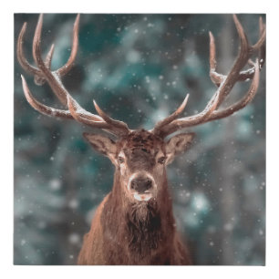 Noble deer male in winter snow forest. Artistic wi Faux Canvas Print