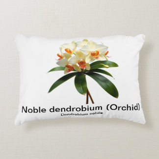 Noble dendrobium orchid Accent Pillow