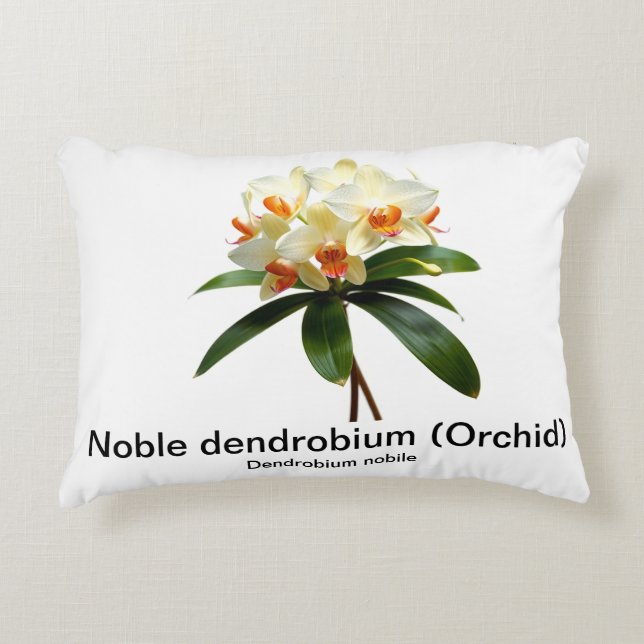 Noble dendrobium orchid Accent Pillow (Front)