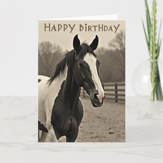 Noble Horse Birthday Card (Front)