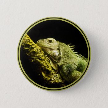 Noble Iguana Button by StriveDesigns at Zazzle