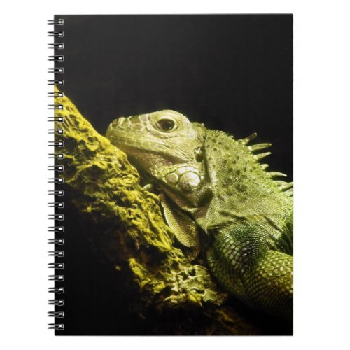Noble Iguana Notebook