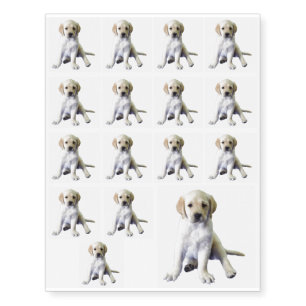 Noble Labrador Puppy Temporary Tattoos