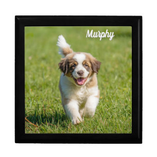 Noble St. Bernard Personalized Jewelry Keepsake Gift Box