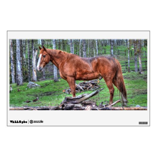 Noble Standing Chestnut Gelding Ranch Horse Photo Wall Sticker