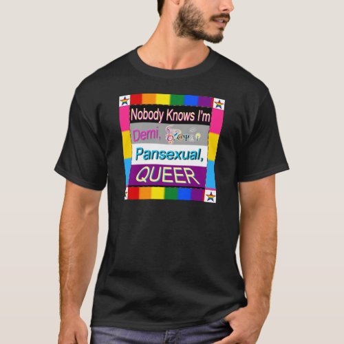 Nobody Knows Im Demi Sapio Pansexual QUEER T_Shirt