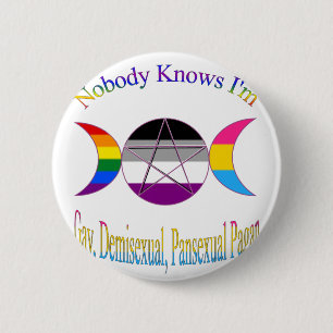 Nobody Knows I'm Gay Demisexual Pansexual Pagan Button