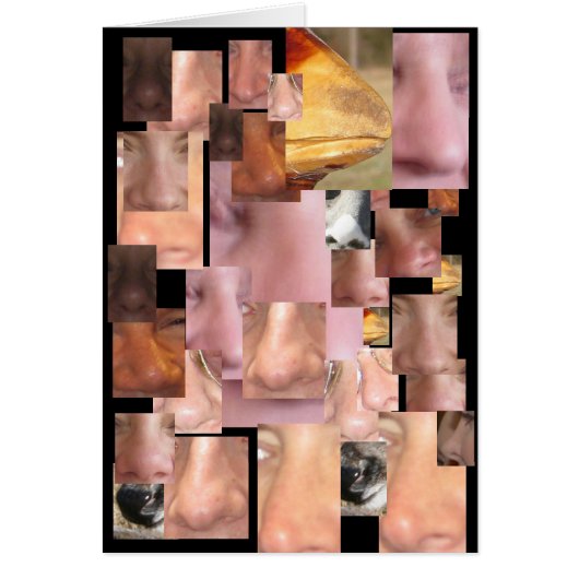 NOBODY NOSE CARDS (Front)