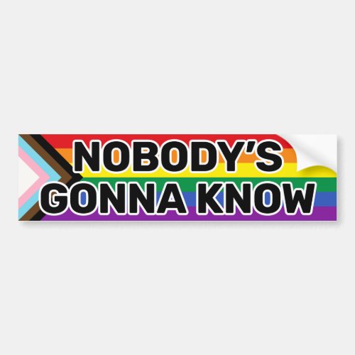 Nobodys Gonna Know Black Gay Progress Pride Funny Bumper Sticker