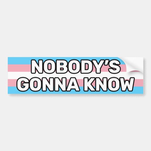 Nobodys Gonna Know White Trans Pride Flag Funny Bumper Sticker