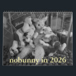 nobunny in 2026 calendar retrospective edition<br><div class="desc">nobunny likes black & white much more than color. if you like black & white photos this is the calendar for you! months of black & white photos, with bonus black & white photos on the cover & more on the back! the perfect gift for fans of photographs. it was...</div>