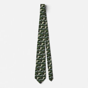 Noccalula Falls, Gadsden, Alabama Neck Tie