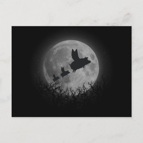 nocturnal flying pig family postcard