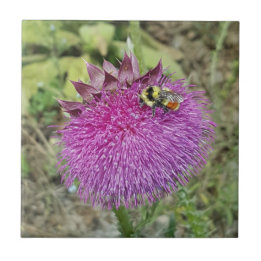 Nodding Thistle - Ceramic Tile
