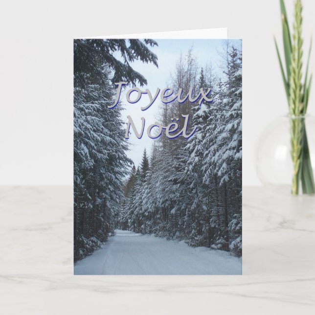 Noel 2 holiday card (Front)