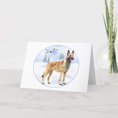 Noel Belgian Malinois Holiday Card