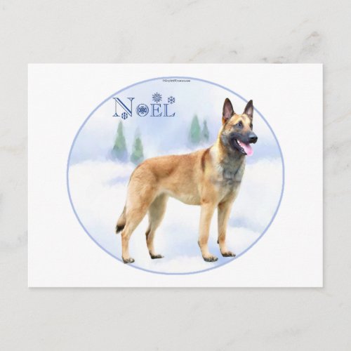 Noel Belgian Malinois Holiday Postcard