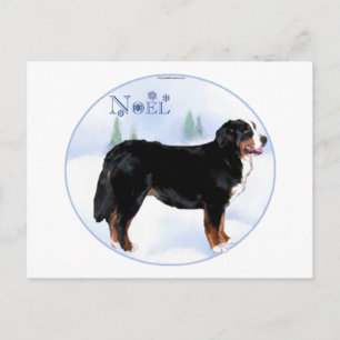 Noel Bernese Mountain Dog Holiday Postcard