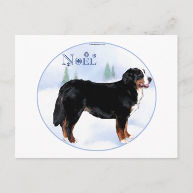 Noel Bernese Mountain Dog Holiday Postcard (Front)