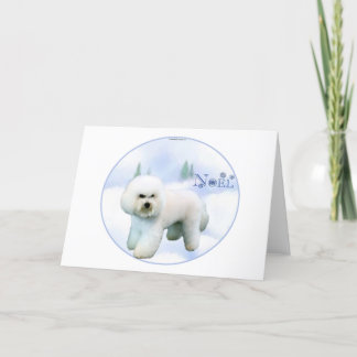 Noel Bichon Frise Holiday Card