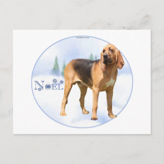Noel Bloodhound Holiday Postcard
