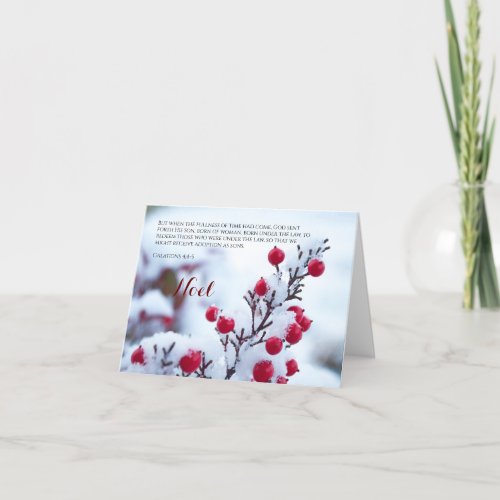 Noel Galations 44_5 Snow Berries Christmas Card