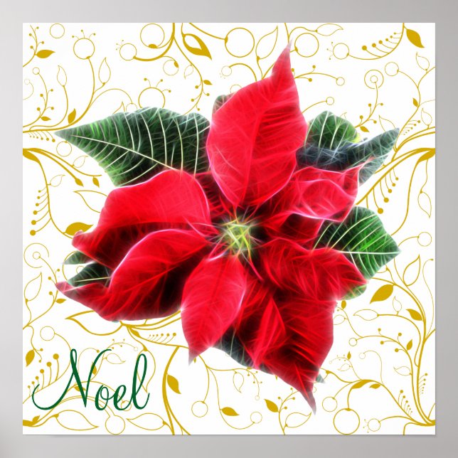 Noel Poinsettia Poster (Front)