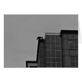 Noir City (Front Horizontal)