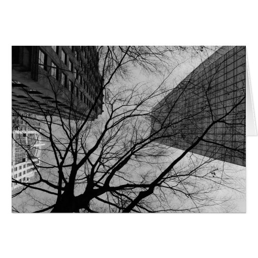 Noir City Cards (Front Horizontal)