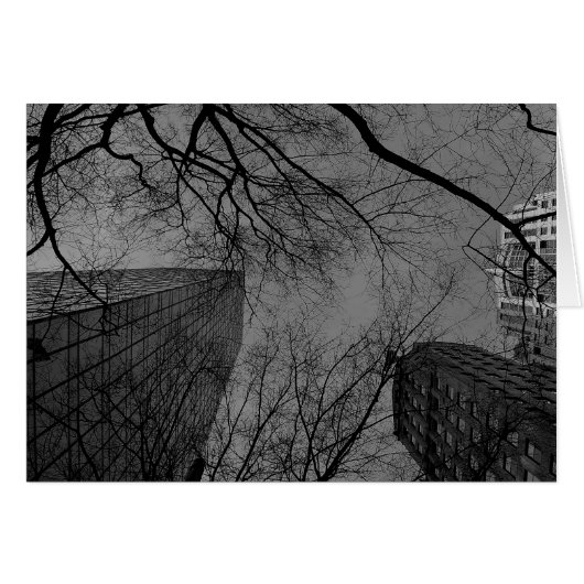 Noir City Cards (Front Horizontal)