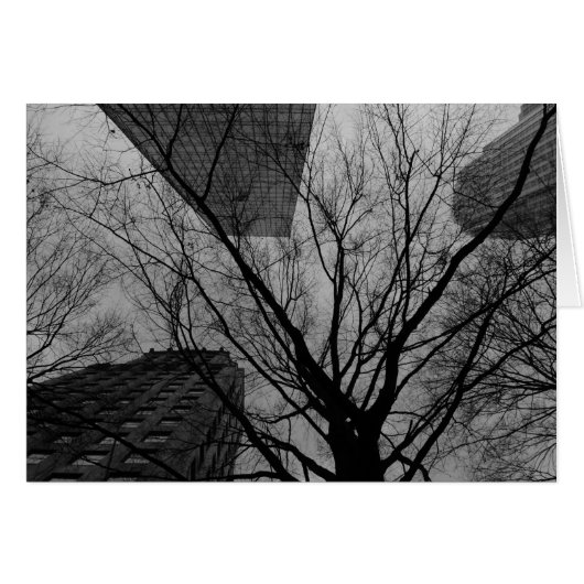 Noir City Cards (Front Horizontal)