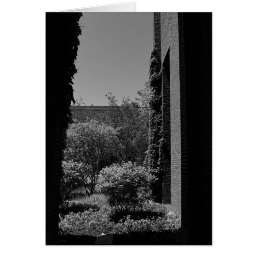 Noir City Cards (Front)