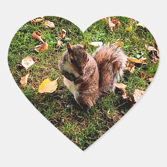 Noisy Squirrel  Heart Sticker (Front)