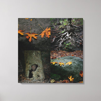 Nojoqui Falls Park Canvas Print