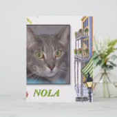 NOLA (Standing Front)