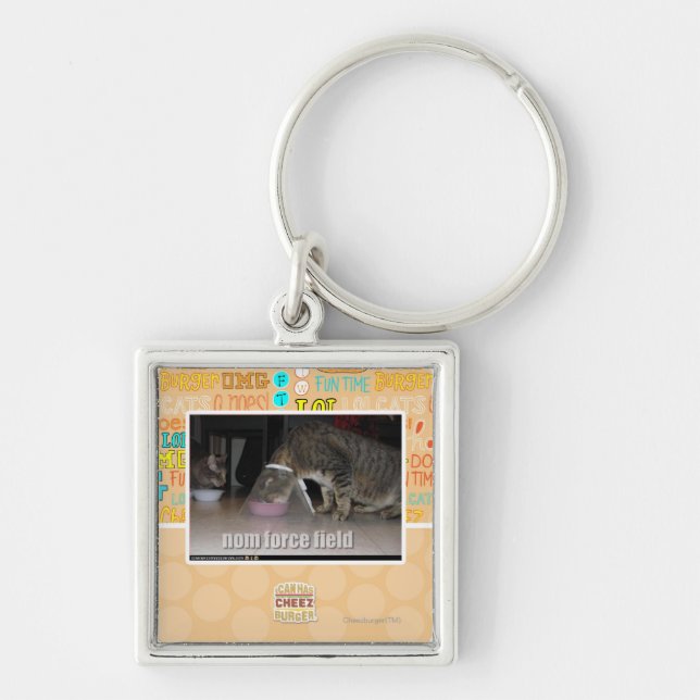 nom force field keychain (Front)