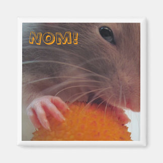 Nom! Magnet