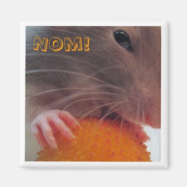 Nom! Magnet (Front)