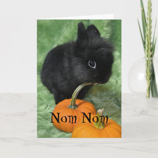 Nom Nom Halloween Bunny Card (Front)