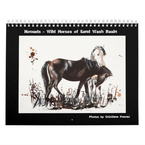 Nomads _Sand Wash Basin Wild Horses Calendar