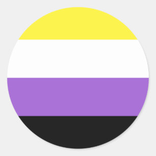 Non Binary Pride Flag Classic Round Sticker