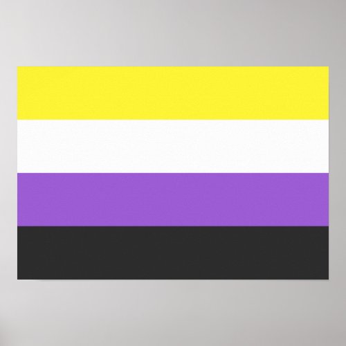 Non_Binary Pride flag Poster