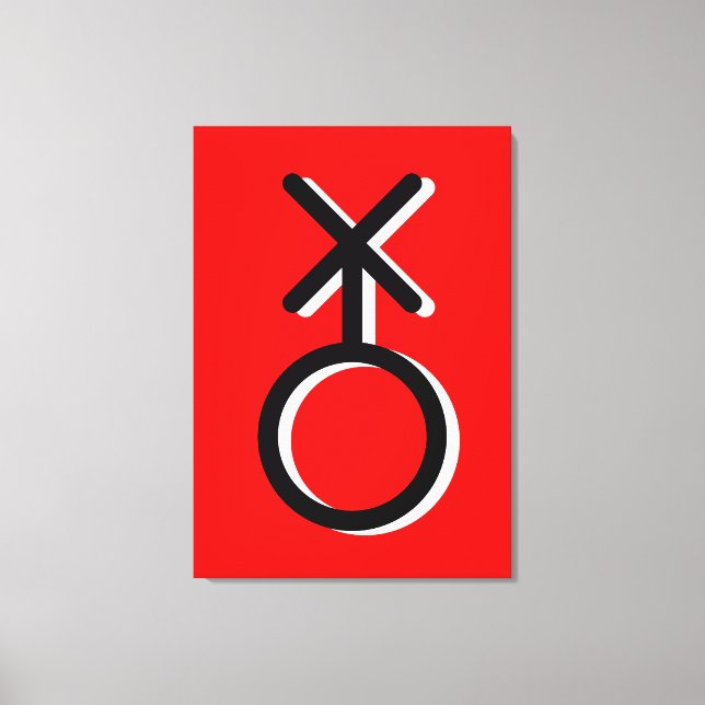 non binary symbol gender gay sexuality identity canvas print (Front)